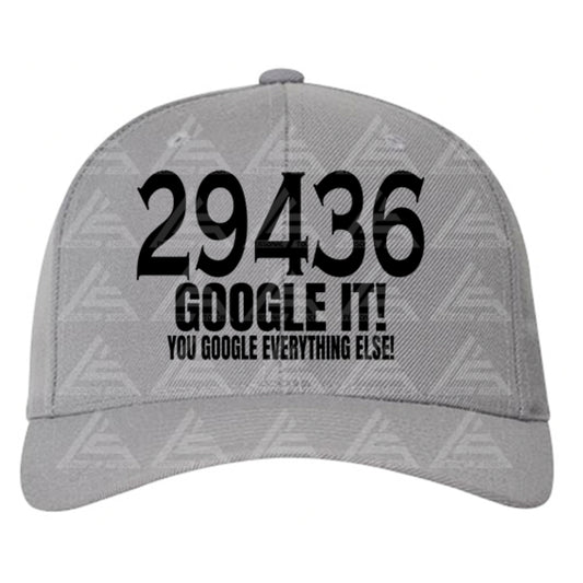29436 Google It Adjustable Back Strap Cap - Gray