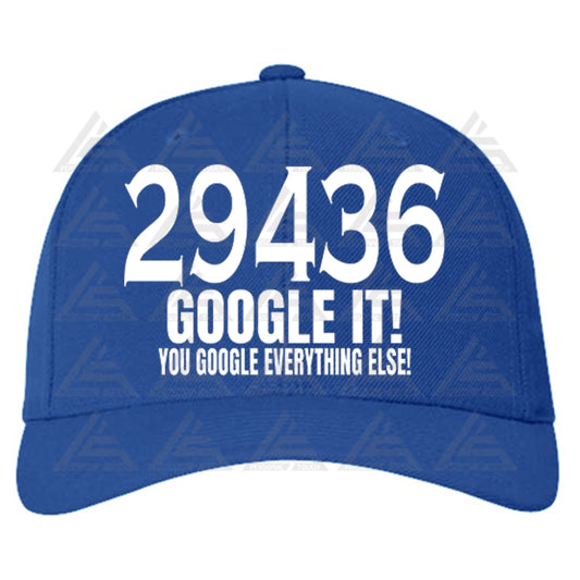29436 Google It Adjustable Back Strap Cap - Royal