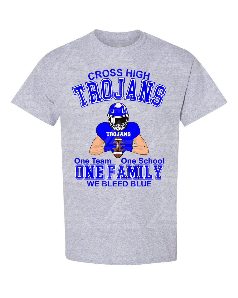 One Team One School One Family Light (full front) Gray Tee